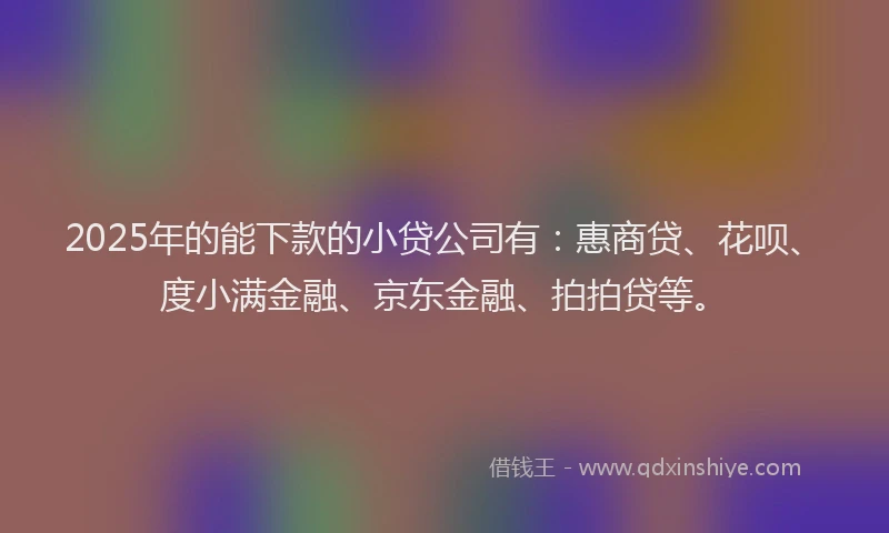 2025年的能下款的小贷公司有：惠商贷、花呗、度小满金融、京东金融、拍拍贷等。