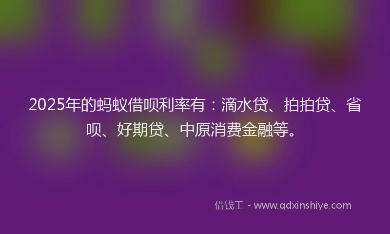 2025年的蚂蚁借呗利率有：滴水贷、拍拍贷、省呗、好期贷、中原消费金融等。