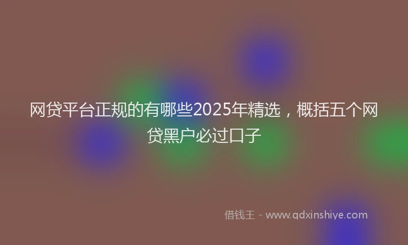 网贷平台正规的有哪些2025年精选，概括五个网贷黑户必过口子