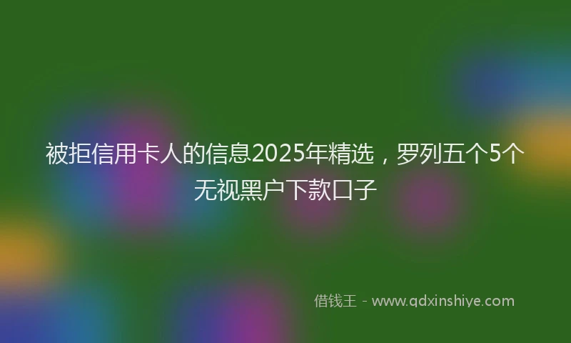 被拒信用卡人的信息2025年精选，罗列五个5个无视黑户下款口子