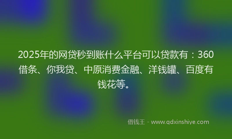 2025年的网贷秒到账什么平台可以贷款有：360借条、你我贷、中原消费金融、洋钱罐、百度有钱花等。