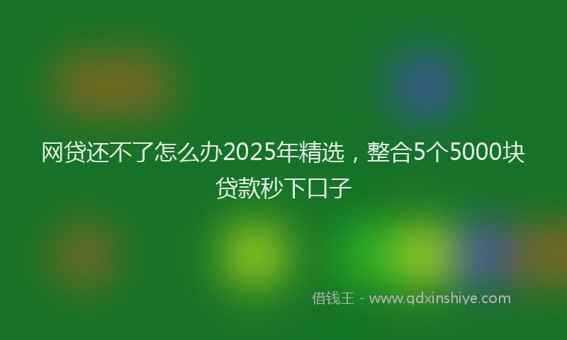 网贷还不了怎么办2025年精选，整合5个5000块贷款秒下口子