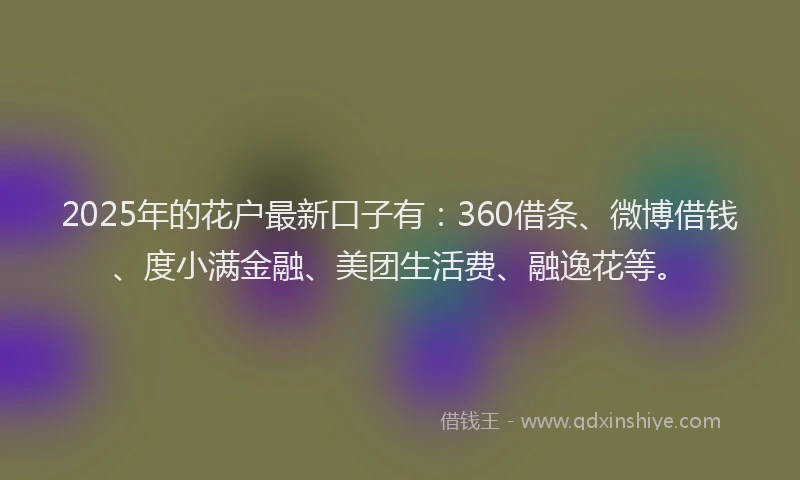 2025年的花户最新口子有：360借条、微博借钱、度小满金融、美团生活费、融逸花等。