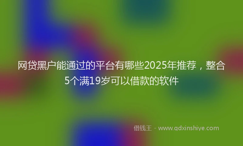 网贷黑户能通过的平台有哪些2025年推荐，整合5个满19岁可以借款的软件