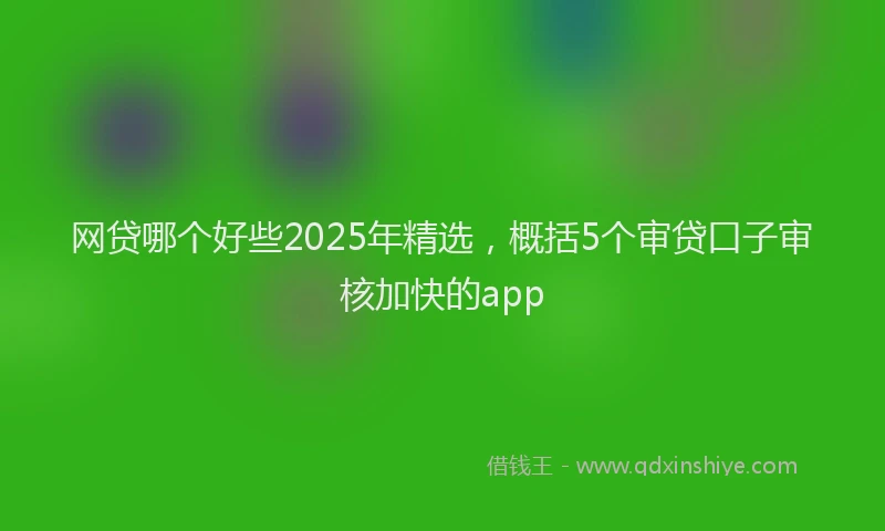 网贷哪个好些2025年精选，概括5个审贷口子审核加快的app