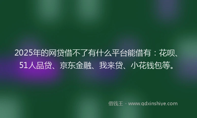 2025年的网贷借不了有什么平台能借有：花呗、51人品贷、京东金融、我来贷、小花钱包等。