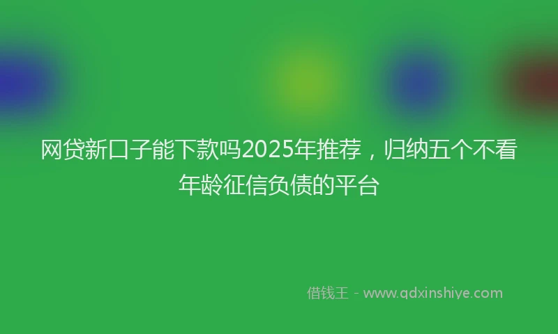 网贷新口子能下款吗2025年推荐，归纳五个不看年龄征信负债的平台