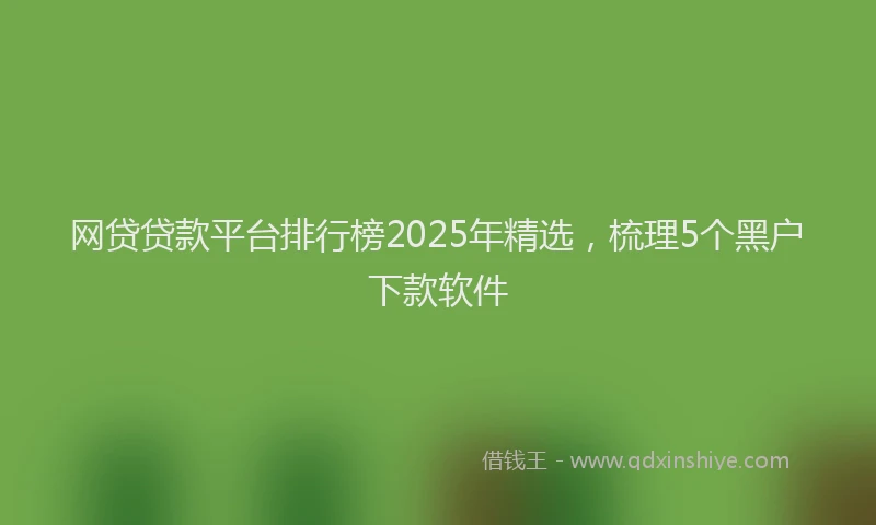 网贷贷款平台排行榜2025年精选，梳理5个黑户下款软件