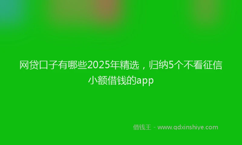 网贷口子有哪些2025年精选，归纳5个不看征信小额借钱的app