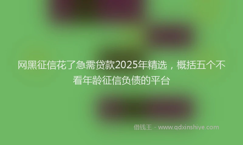 网黑征信花了急需贷款2025年精选，概括五个不看年龄征信负债的平台