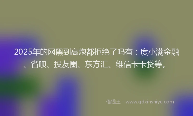 2025年的网黑到高炮都拒绝了吗有：度小满金融、省呗、投友圈、东方汇、维信卡卡贷等。
