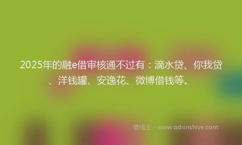 2025年的融e借审核通不过有：滴水贷、你我贷、洋钱罐、安逸花、微博借钱等。