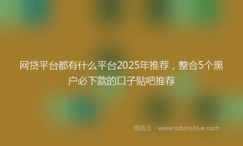 网贷平台都有什么平台2025年推荐，整合5个黑户必下款的口子贴吧推荐