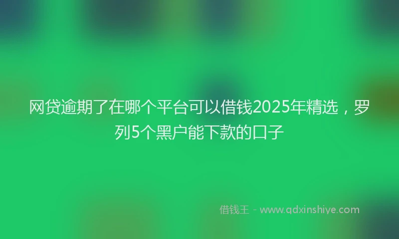 网贷逾期了在哪个平台可以借钱2025年精选，罗列5个黑户能下款的口子