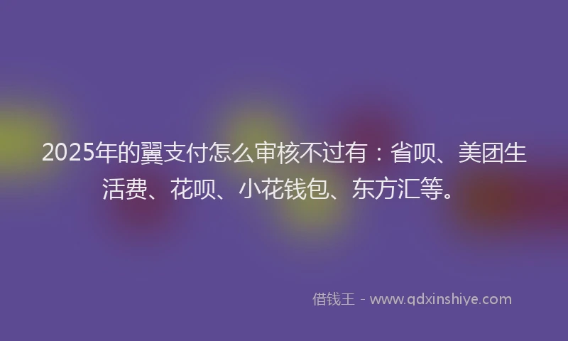 2025年的翼支付怎么审核不过有：省呗、美团生活费、花呗、小花钱包、东方汇等。