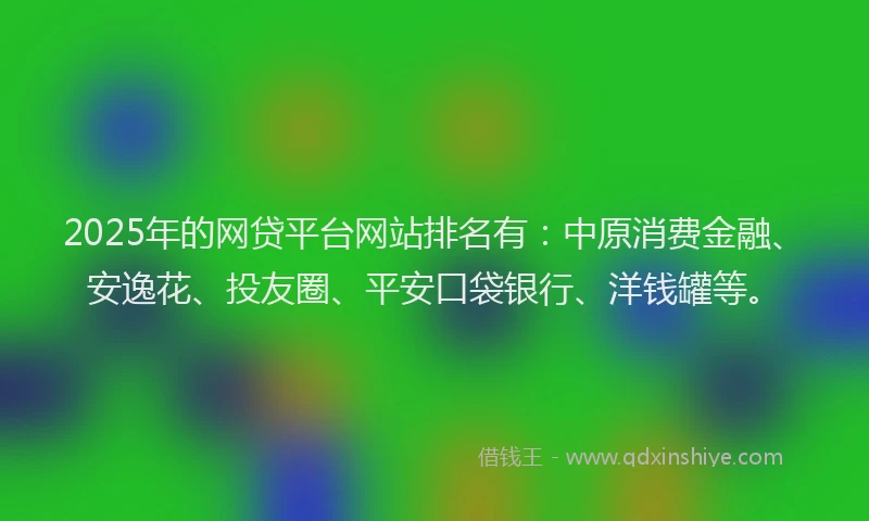 2025年的网贷平台网站排名有：中原消费金融、安逸花、投友圈、平安口袋银行、洋钱罐等。