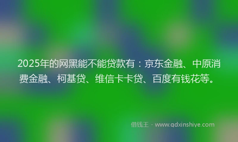 2025年的网黑能不能贷款有：京东金融、中原消费金融、柯基贷、维信卡卡贷、百度有钱花等。