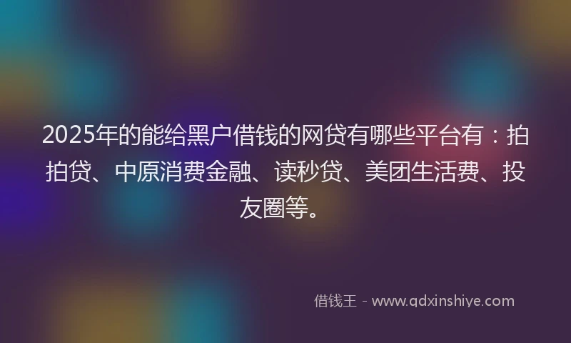 2025年的能给黑户借钱的网贷有哪些平台有：拍拍贷、中原消费金融、读秒贷、美团生活费、投友圈等。