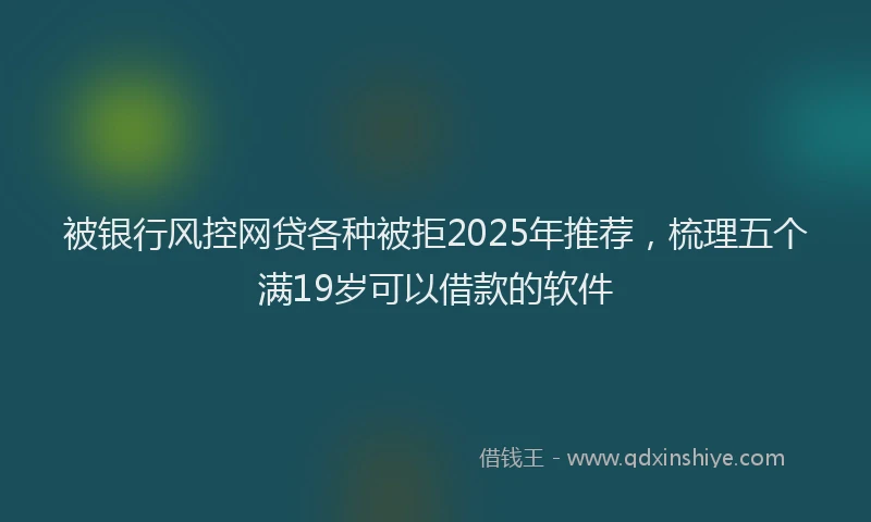 被银行风控网贷各种被拒2025年推荐，梳理五个满19岁可以借款的软件