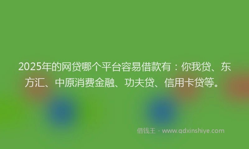 2025年的网贷哪个平台容易借款有：你我贷、东方汇、中原消费金融、功夫贷、信用卡贷等。
