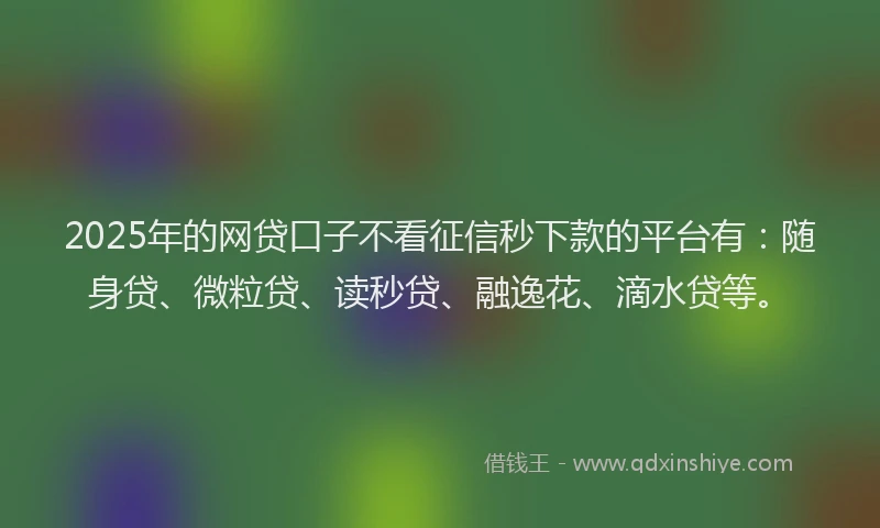 2025年的网贷口子不看征信秒下款的平台有：随身贷、微粒贷、读秒贷、融逸花、滴水贷等。