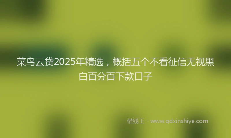 菜鸟云贷2025年精选，概括五个不看征信无视黑白百分百下款口子