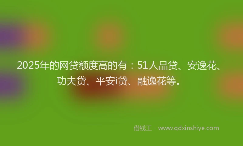 2025年的网贷额度高的有：51人品贷、安逸花、功夫贷、平安i贷、融逸花等。