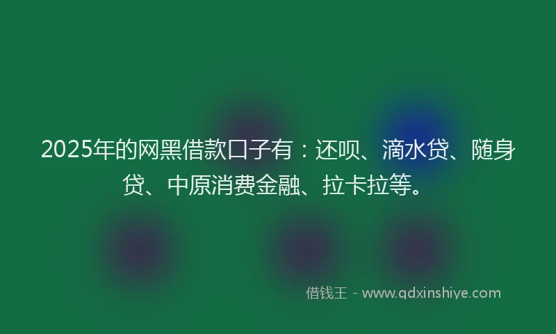 2025年的网黑借款口子有：还呗、滴水贷、随身贷、中原消费金融、拉卡拉等。