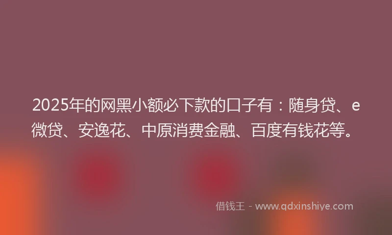 2025年的网黑小额必下款的口子有：随身贷、e微贷、安逸花、中原消费金融、百度有钱花等。