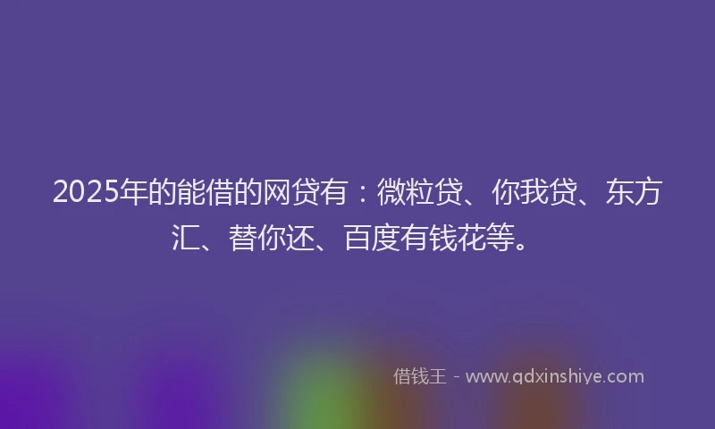 2025年的能借的网贷有：微粒贷、你我贷、东方汇、替你还、百度有钱花等。