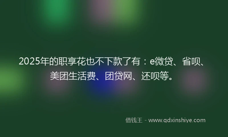 2025年的职享花也不下款了有：e微贷、省呗、美团生活费、团贷网、还呗等。