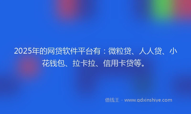 2025年的网贷软件平台有：微粒贷、人人贷、小花钱包、拉卡拉、信用卡贷等。