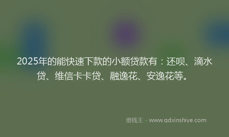 2025年的能快速下款的小额贷款有：还呗、滴水贷、维信卡卡贷、融逸花、安逸花等。
