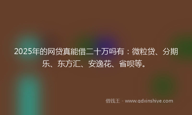 2025年的网贷真能借二十万吗有：微粒贷、分期乐、东方汇、安逸花、省呗等。