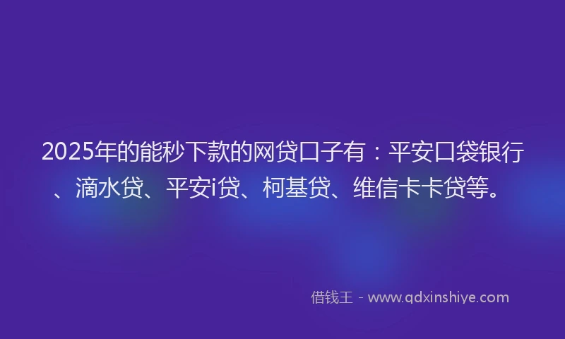 2025年的能秒下款的网贷口子有：平安口袋银行、滴水贷、平安i贷、柯基贷、维信卡卡贷等。