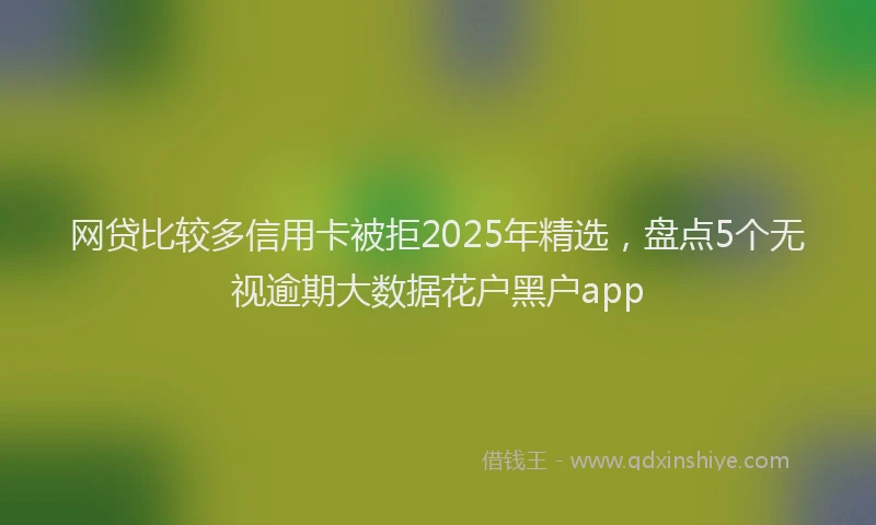 网贷比较多信用卡被拒2025年精选，盘点5个无视逾期大数据花户黑户app