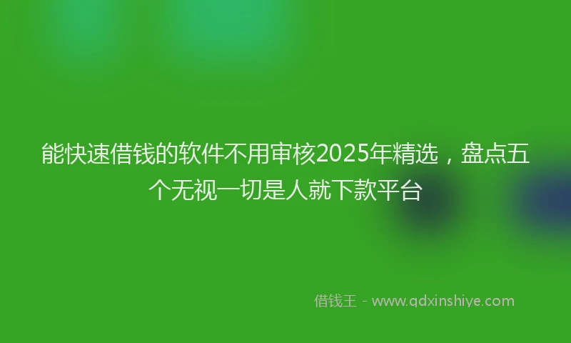 能快速借钱的软件不用审核2025年精选，盘点五个无视一切是人就下款平台