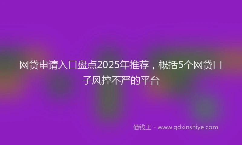 网贷申请入口盘点2025年推荐，概括5个网贷口子风控不严的平台