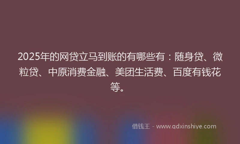 2025年的网贷立马到账的有哪些有：随身贷、微粒贷、中原消费金融、美团生活费、百度有钱花等。
