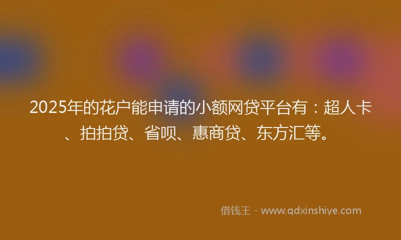 2025年的花户能申请的小额网贷平台有：超人卡、拍拍贷、省呗、惠商贷、东方汇等。