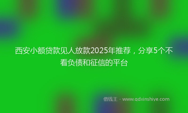 西安小额贷款见人放款2025年推荐，分享5个不看负债和征信的平台