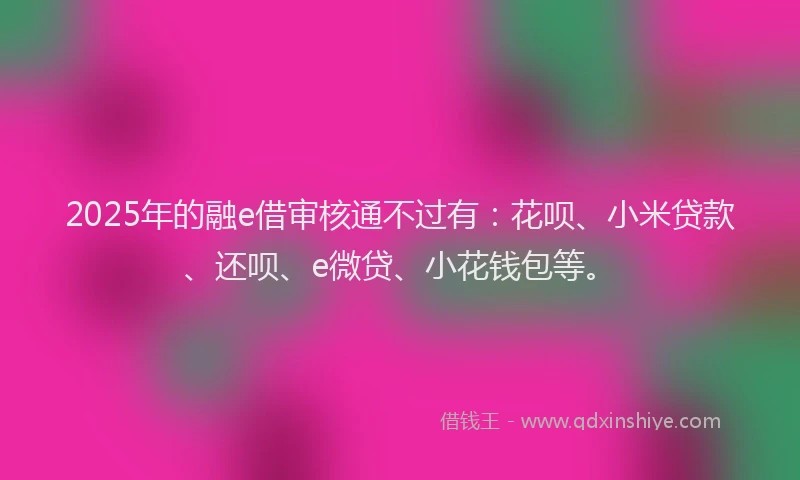 2025年的融e借审核通不过有：花呗、小米贷款、还呗、e微贷、小花钱包等。