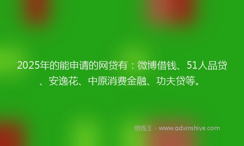 2025年的能申请的网贷有：微博借钱、51人品贷、安逸花、中原消费金融、功夫贷等。