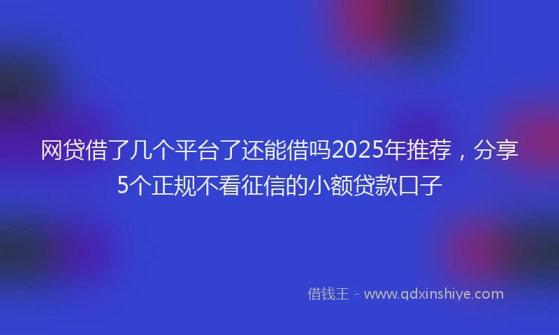 网贷借了几个平台了还能借吗2025年推荐，分享5个正规不看征信的小额贷款口子