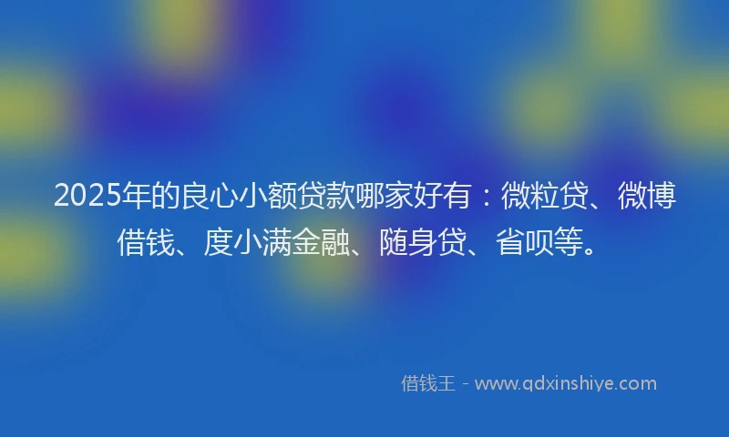 2025年的良心小额贷款哪家好有：微粒贷、微博借钱、度小满金融、随身贷、省呗等。