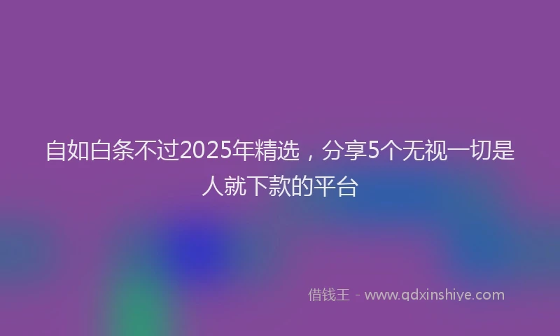 自如白条不过2025年精选，分享5个无视一切是人就下款的平台
