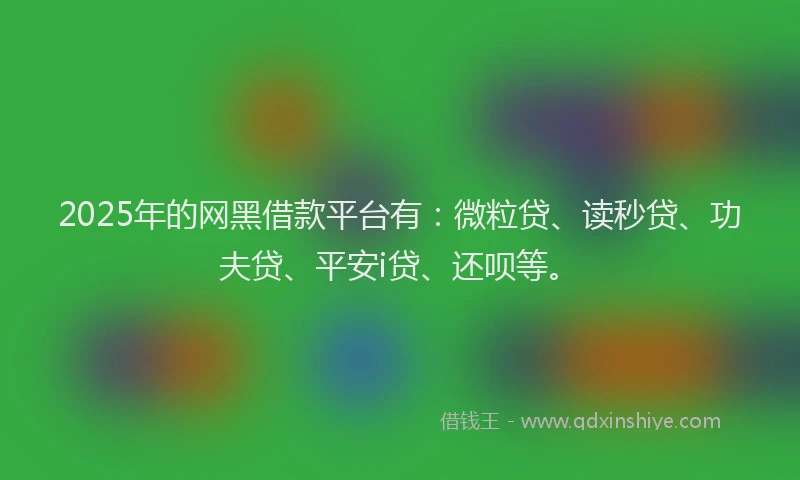 2025年的网黑借款平台有：微粒贷、读秒贷、功夫贷、平安i贷、还呗等。
