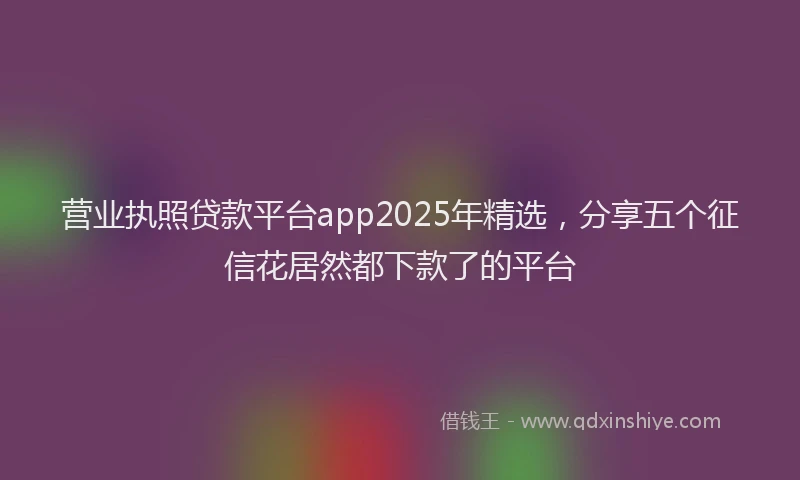 营业执照贷款平台app2025年精选，分享五个征信花居然都下款了的平台