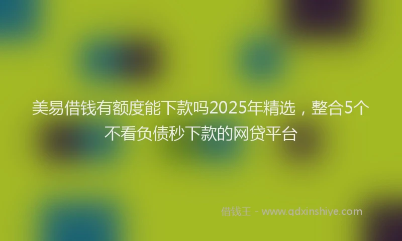 美易借钱有额度能下款吗2025年精选，整合5个不看负债秒下款的网贷平台