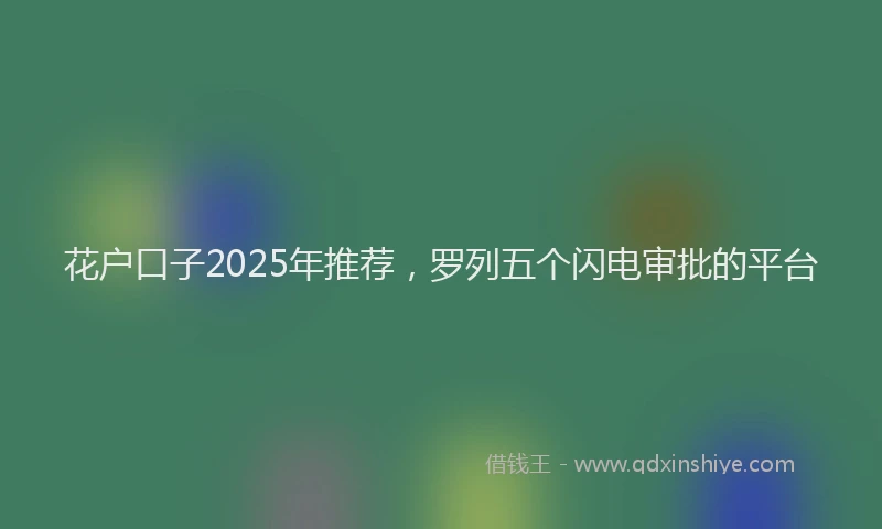 花户口子2025年推荐，罗列五个闪电审批的平台